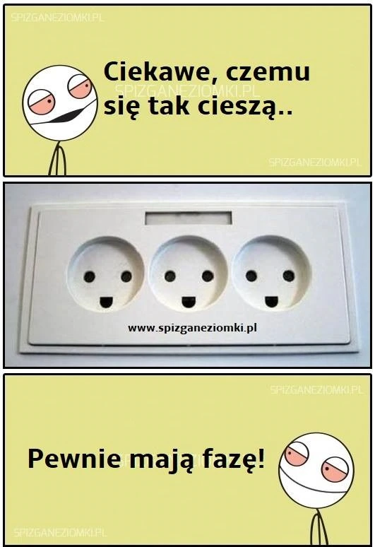 Niezła faza