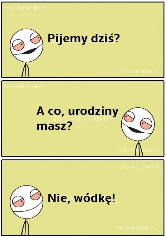 Urodziny ani