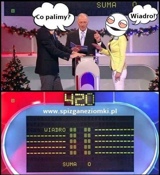 Co palimy?