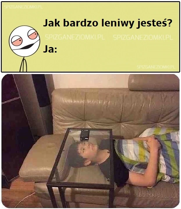Leniwość