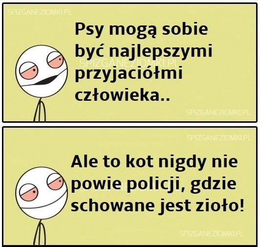 Najlepszy przyjaciel człowieka