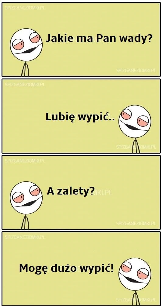 Wady i zalety