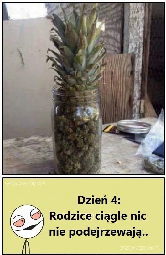 Nigdy się nie domyślą