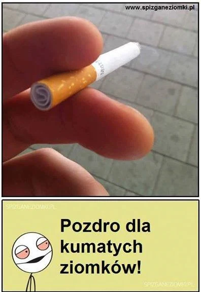Pozdro dla kumatych