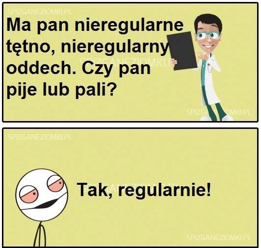 Regularnie