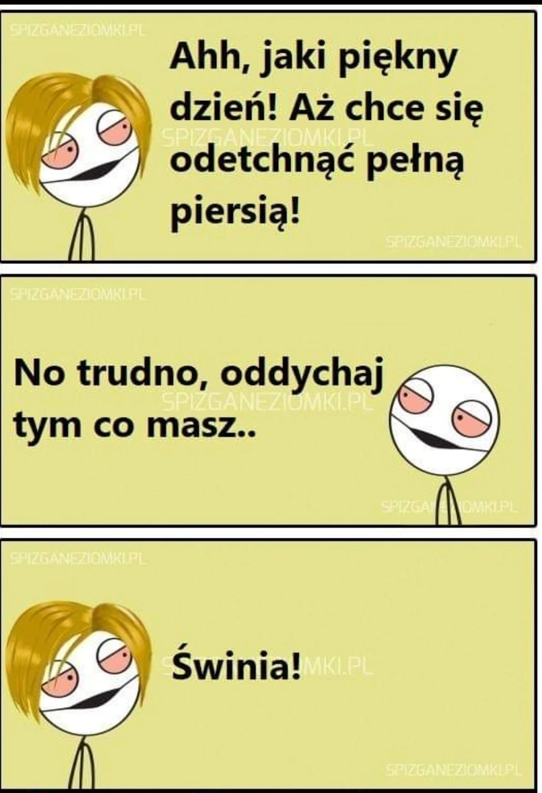 Piękny dzień