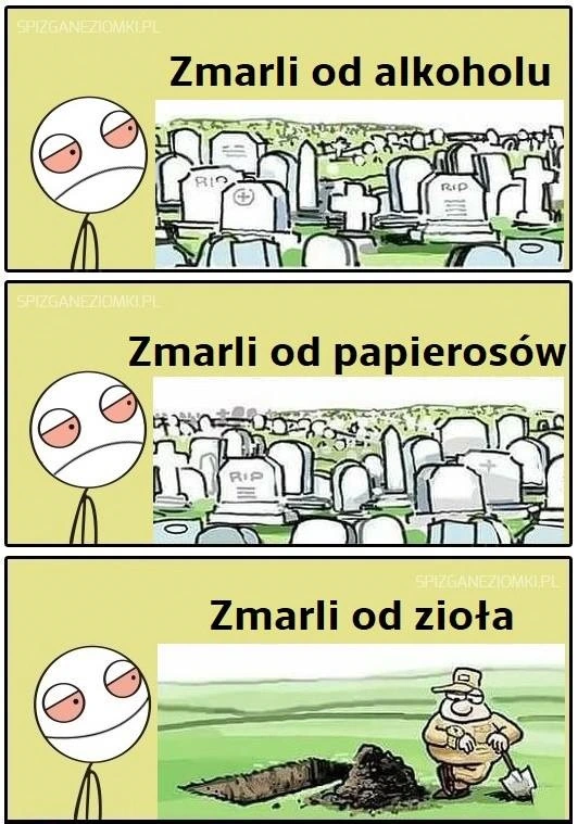 Sadzić palić zalegalizować