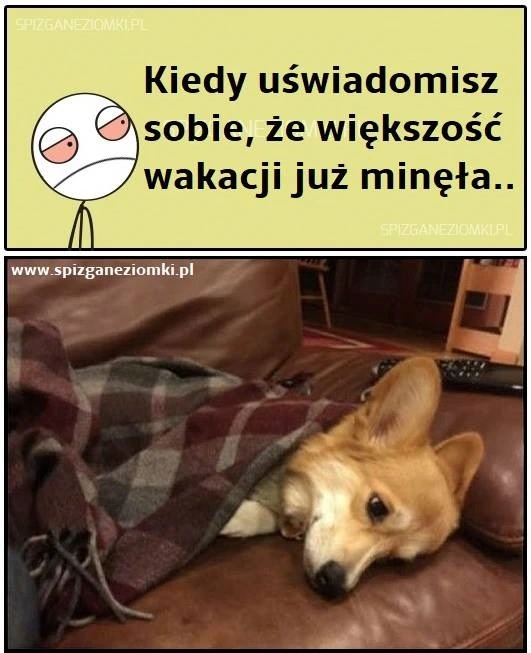 Ten dzień