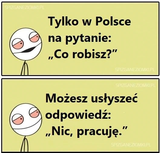Co robisz?
