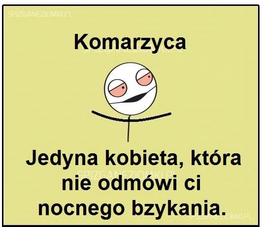 Komarzyca