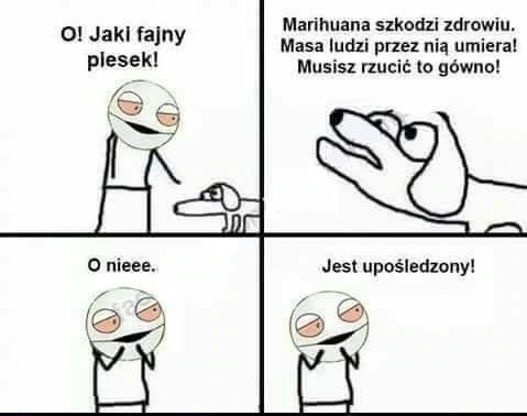Piesek