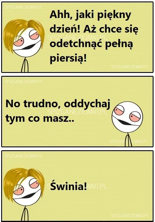 Świnia