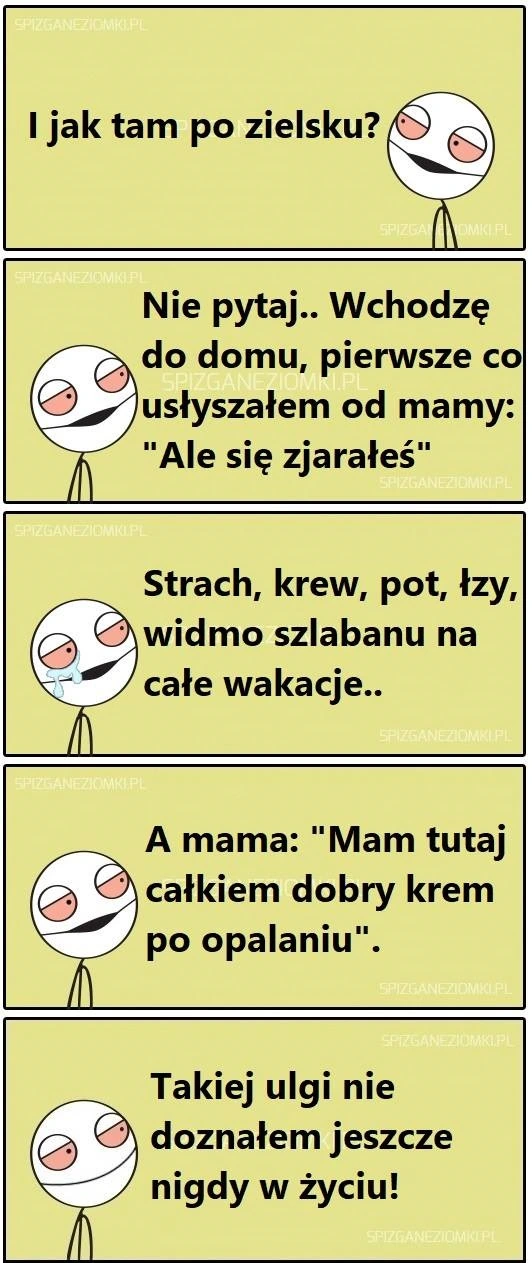 Ale się zjarałeś