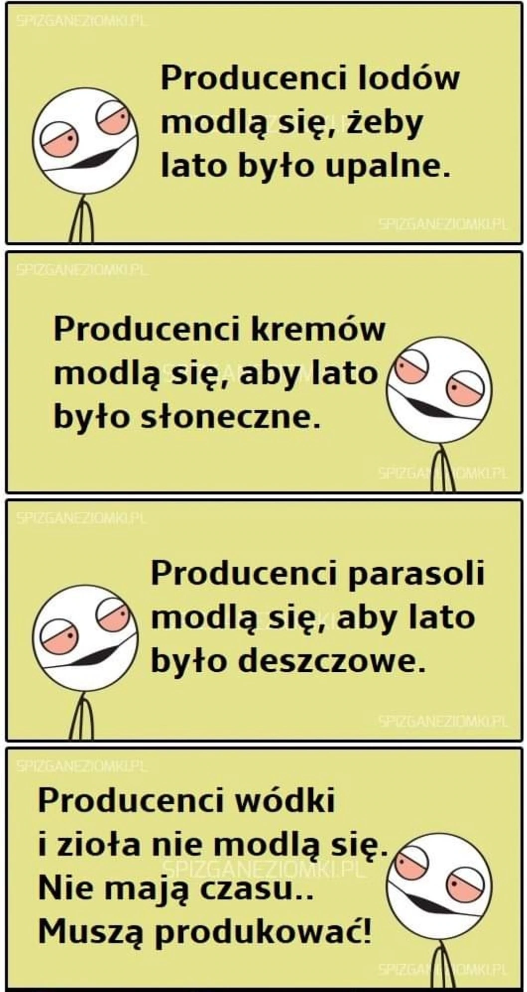 Producenci