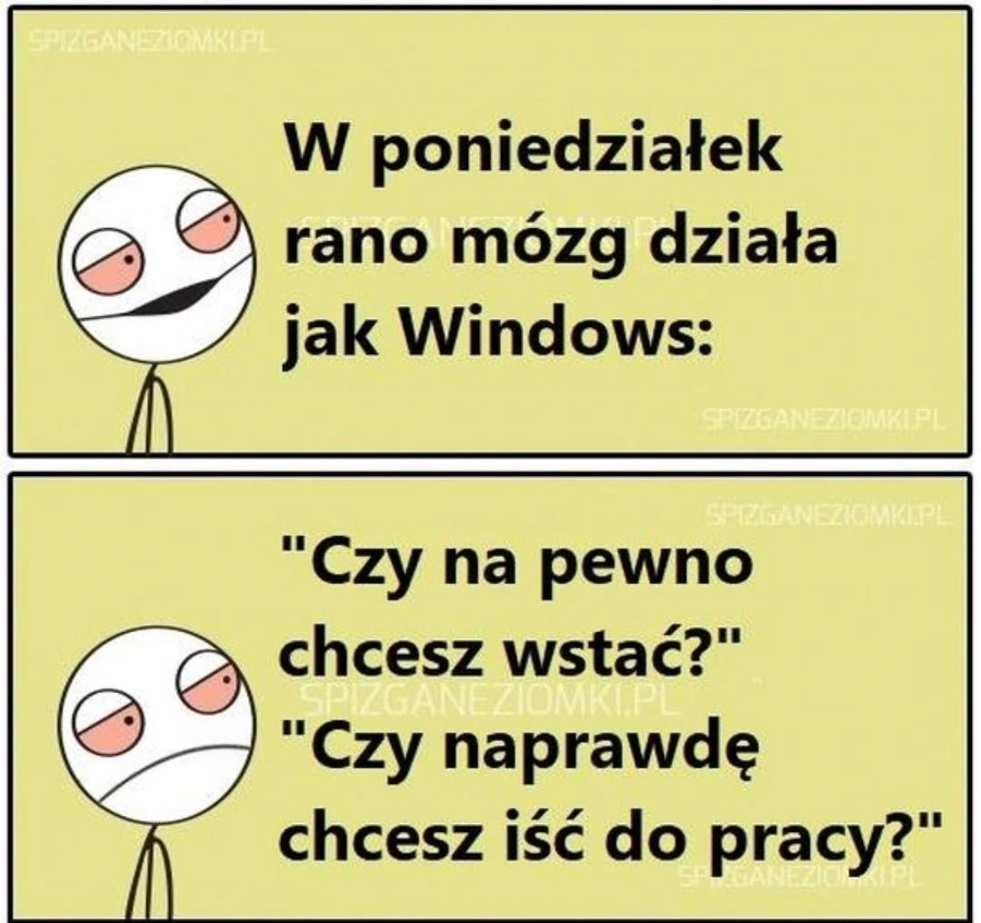 Poniedziałek rano
