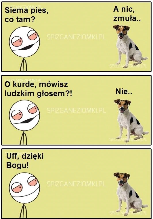 Pieseł
