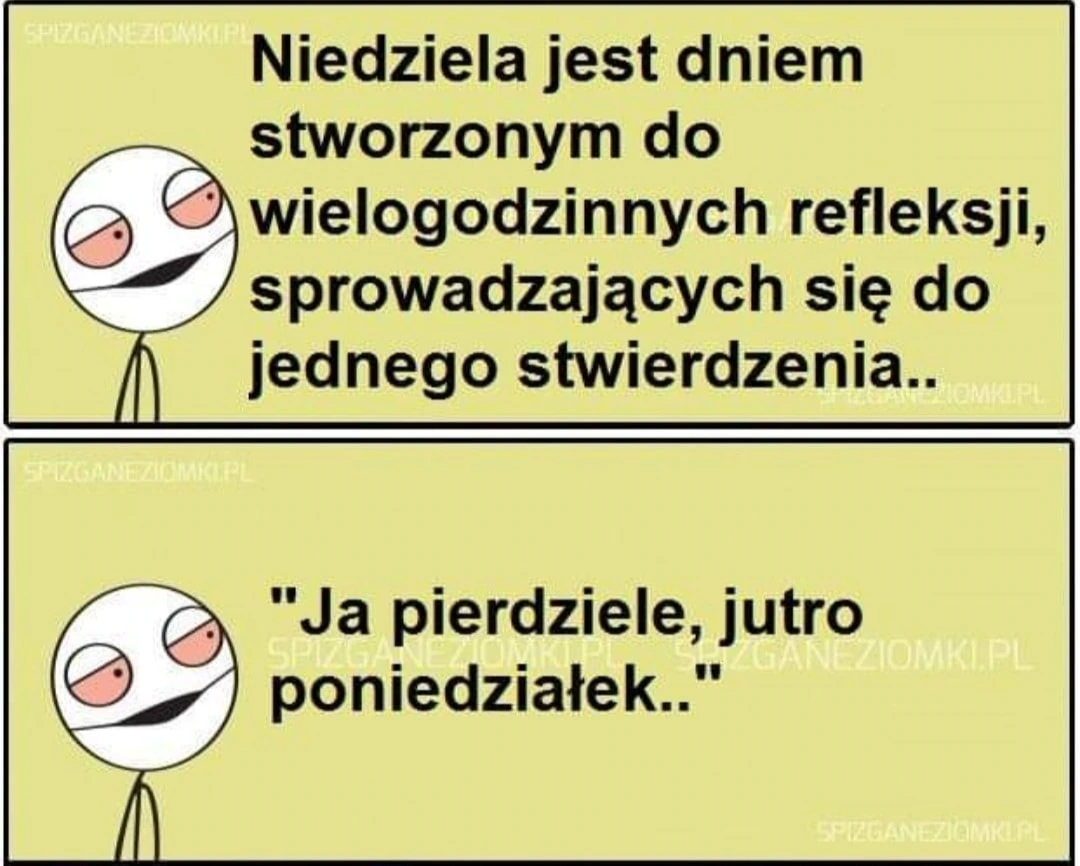 Refleksje