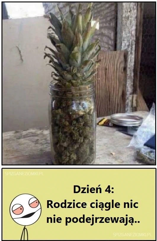 Ananas