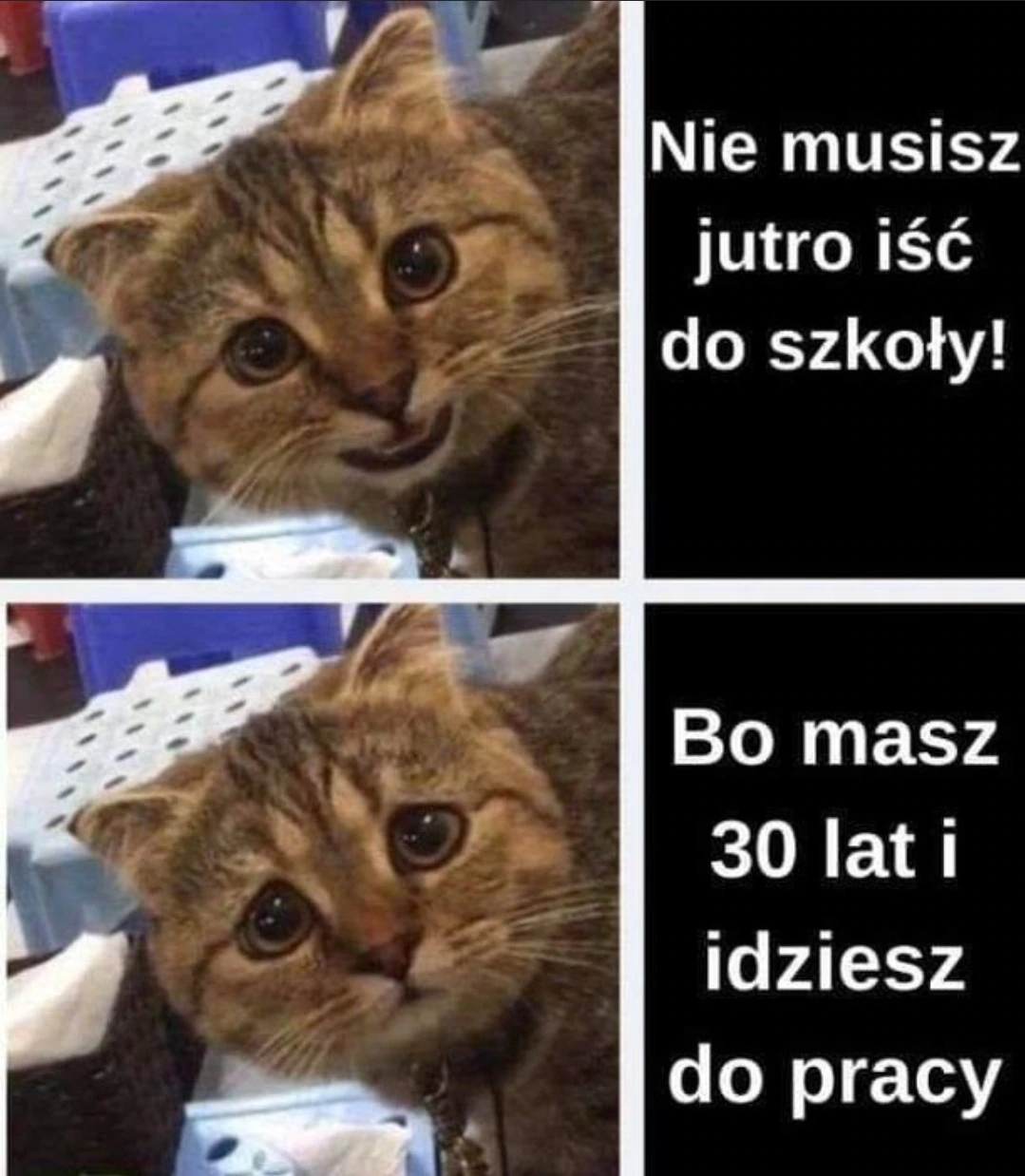 Nie musisz jutro iść do szkoły