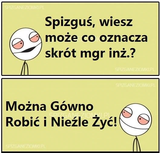 Mgr inż