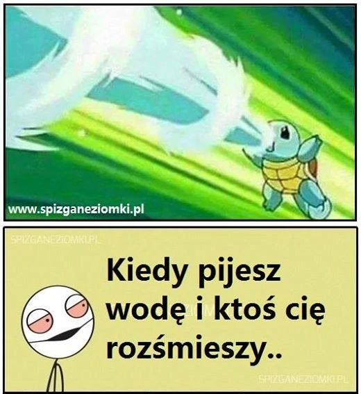 Squirtle Squirtle