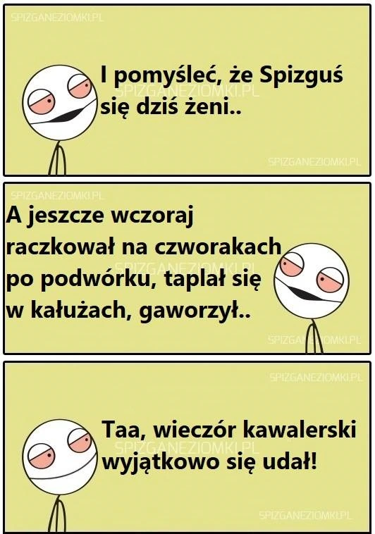 Wieczór kawalerski