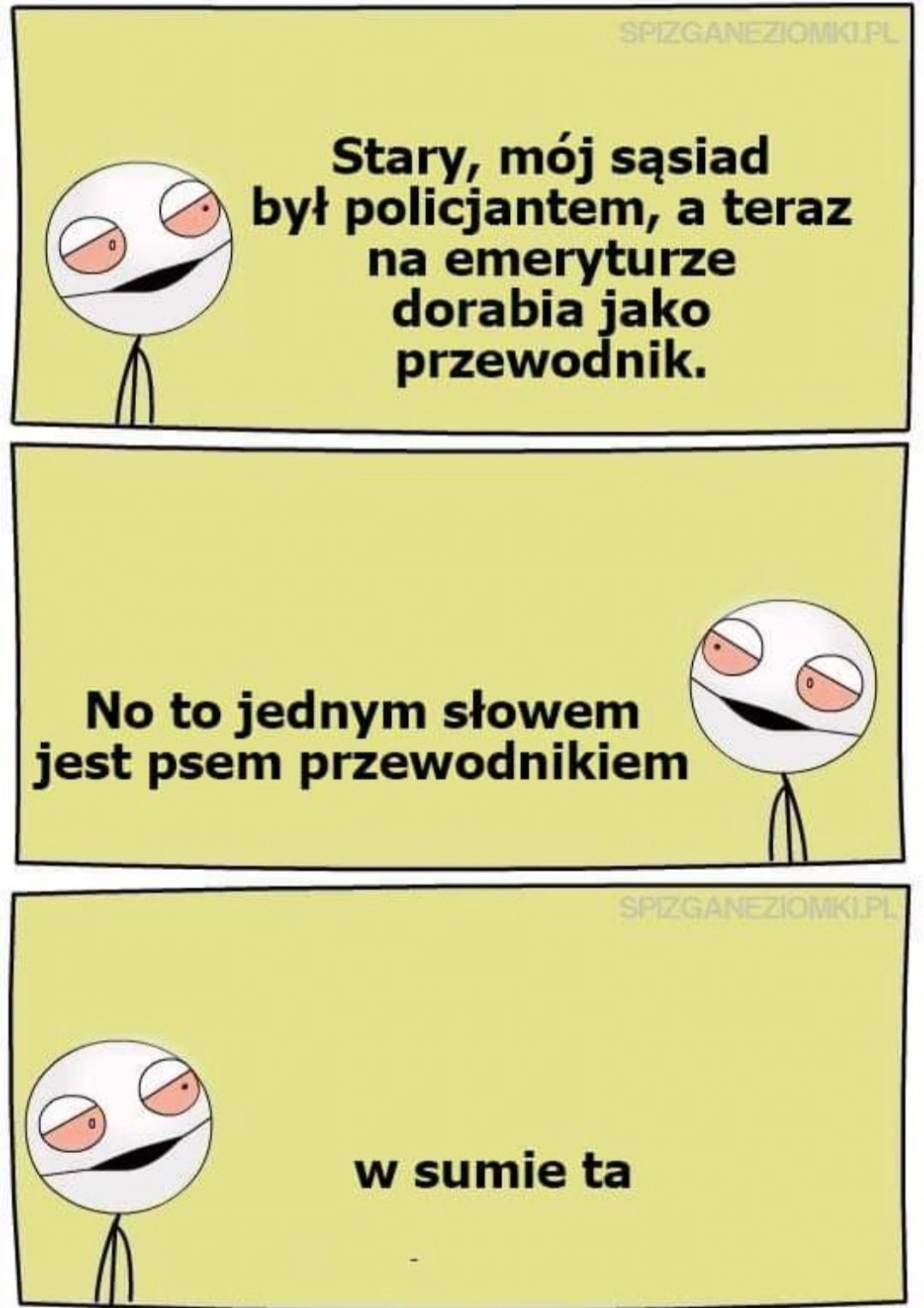 Pies przewodnik