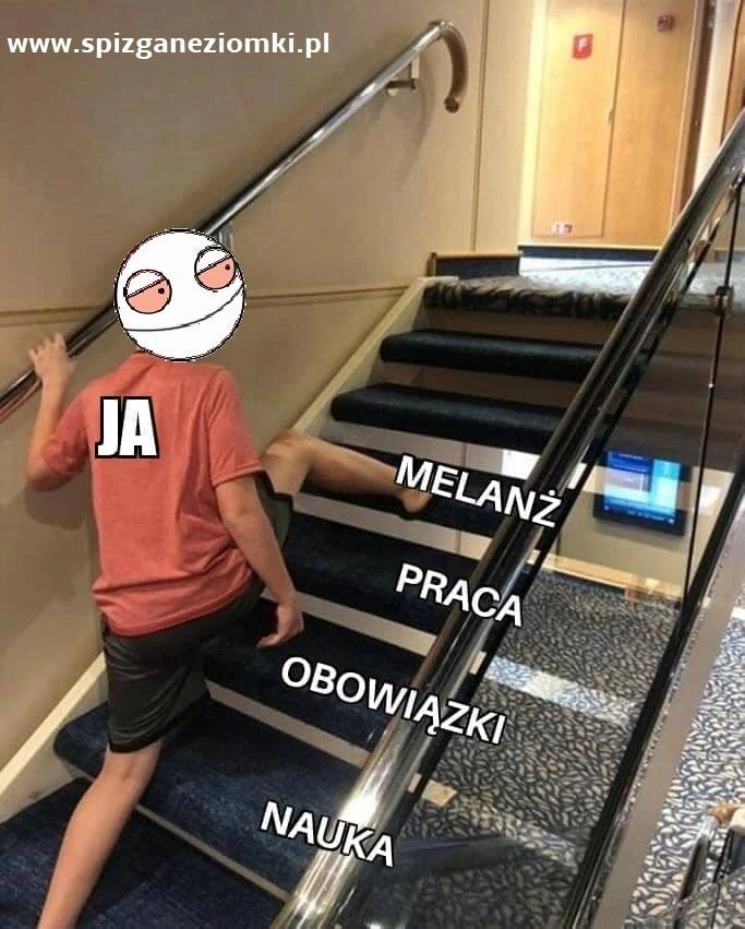 Mały krok dla spizgusia
