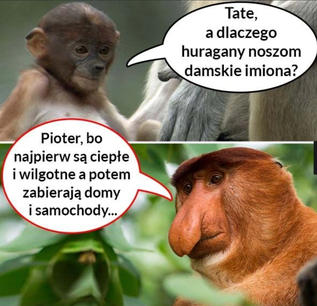 Kobiety