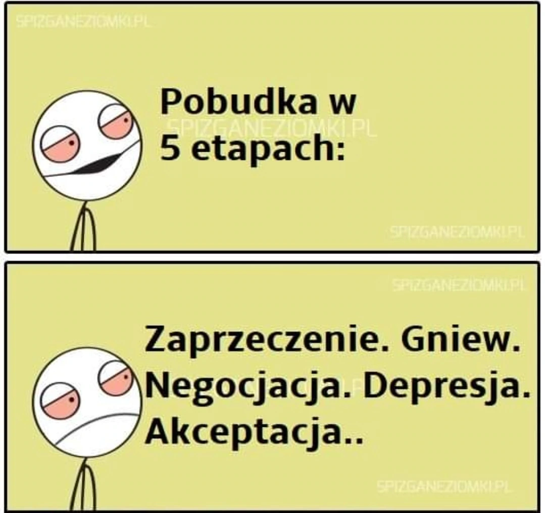 Everyday