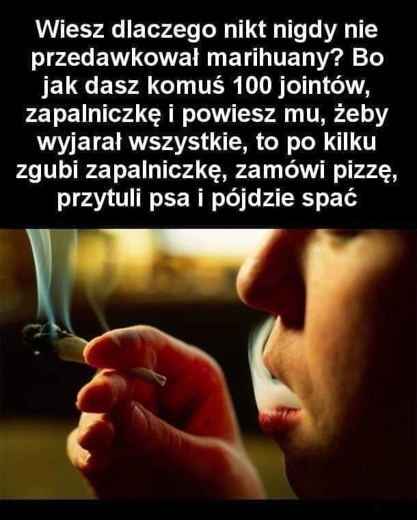 100 jointów