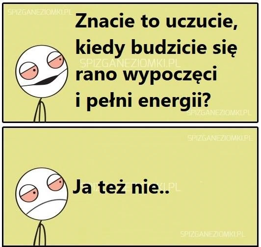 Wypoczęty