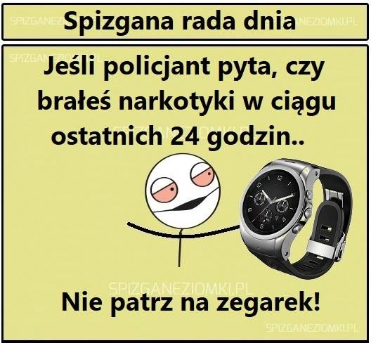 Rada dnia