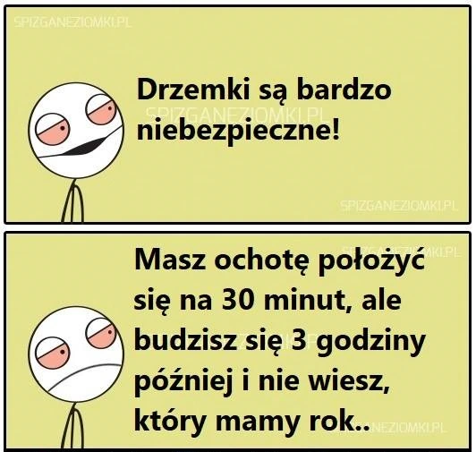Drzemki