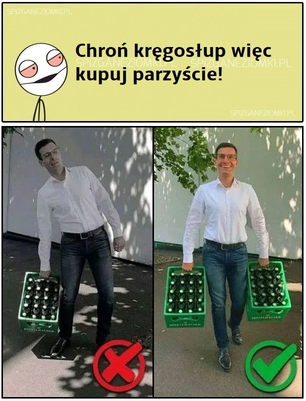 Kręgosłup
