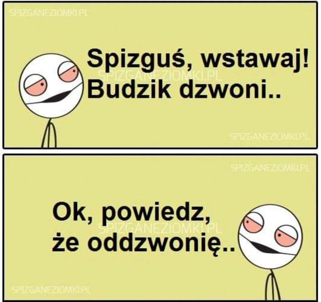Budzik dzwoni