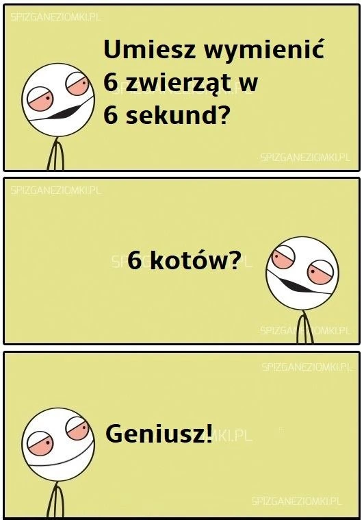 Geniusz