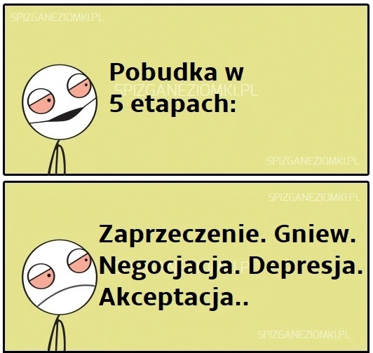Etapy pobudki