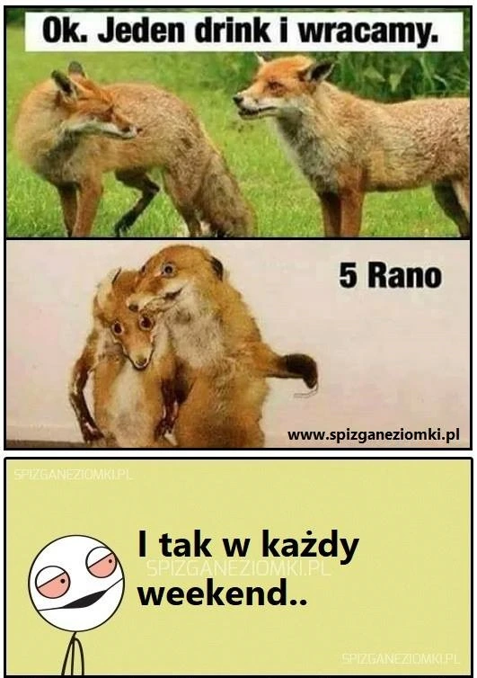 Przygoda
