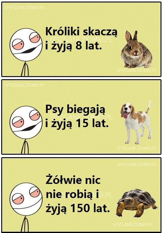 Sekret długowieczności