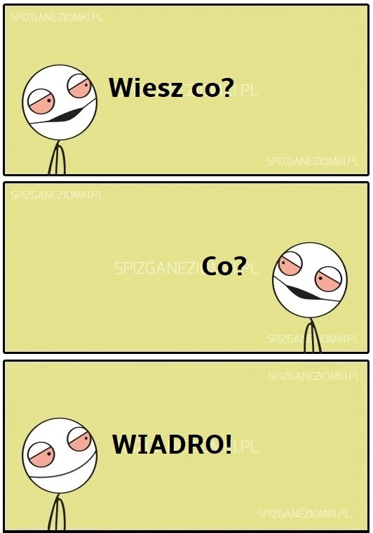 Wiaderko
