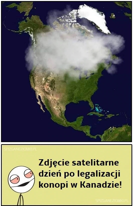 Legalizacja