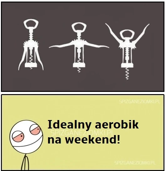 Aerobik