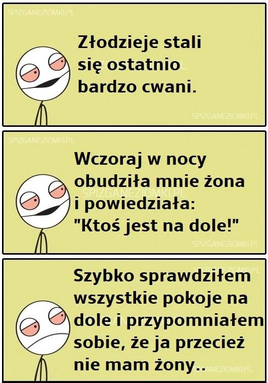 Cwani złodzieje