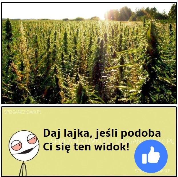 Piękny widok