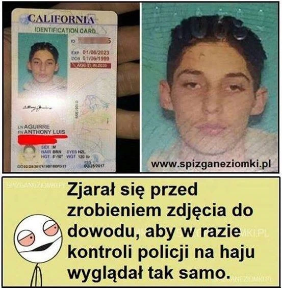 Zdjęcie do dowodu